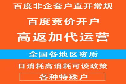 落地页在SEM优化中的重要性及成功案例